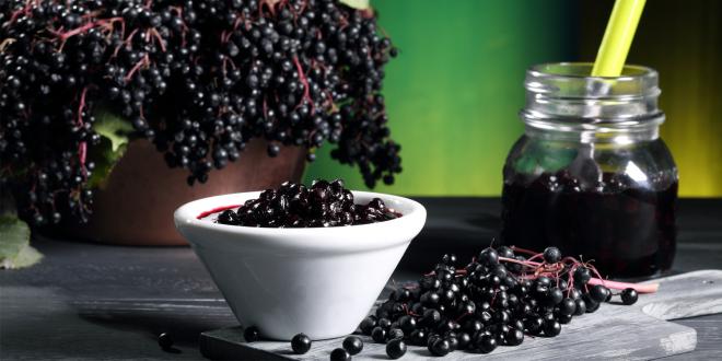 A bowl of black elderberries